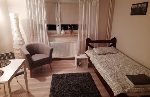 Grunwald Apartment | Villa Belveder