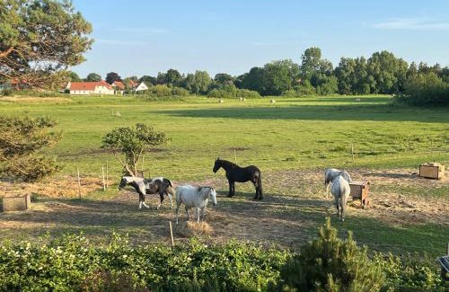 Wiek Apartment | Villa Boddenblick