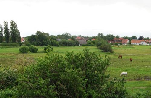 Wiek Apartment | Villa Boddenblick