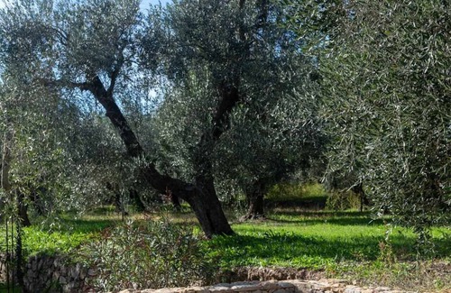 Campo nell'Elba Villa | Villa Casalina Mediterranean Resort with Garden and Pets Allowed