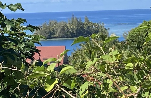 Teva I Uta Bed & Breakfast | Villa Chris Merry nestled in nature 400m from the Tahiti lagoon