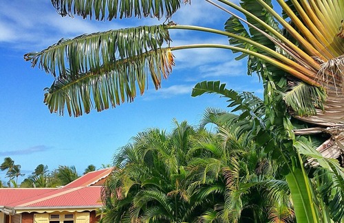 Bas Vent Villa | Villa Coco (6p) 3 bedrooms, swimming pool, beach 300m away