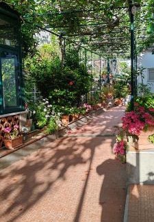 Capri Bed & Breakfast | Villa dei fiori B&B