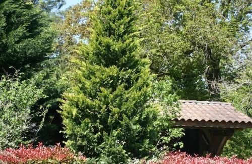 Labouheyre Villa | Villa et Piscine en Pleine Nature - Domaine Temali