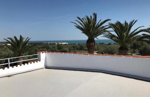 Alcanar Villa | Villa Evisa