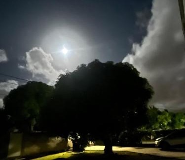 Belcourt Villa | Villa F3 Bougainvilliers