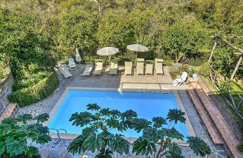 Sant'Agnello House | Villa Fillide C: A cozy studio apartment surrounded by a lemon and orange garden, with Free WI-FI.