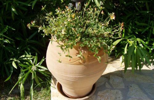 Kavvadades House | Villa Gecko, Arillas