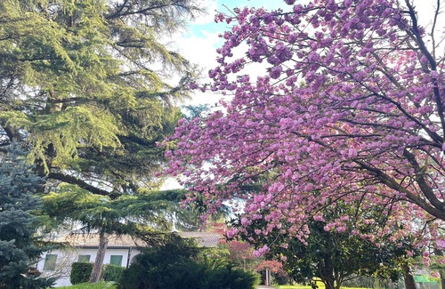 Padova Villa | Villa 'Giacinti' with Private Garden and Wi-Fi
