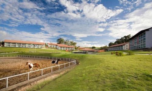 Boa Vista Apartment | Villa Hípica Resort Gravatá - Apartamento 701