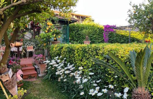 Sant'Egidio del Monte Albino Apartment | Villa Di Martino