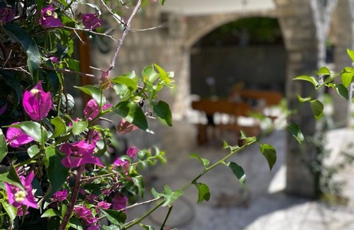 Topla Condo | Villa Jovicic: Exklusive Ferienwohnungen mit Pool