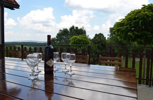 Belgrade House | Villa LipaHills for parties or family holidaysnnn