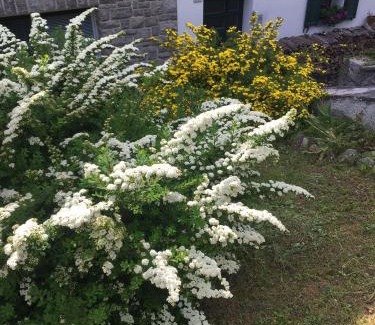 Padola Apartment | Villa Lucia appartamento Fiore