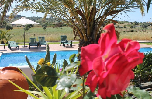 Alfarrobeira Apartment | Villa Lucy - 1 bedroom apartment - Premium