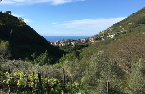 Scala House | Villa Maddalena