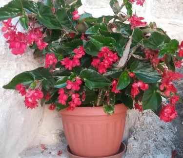 Aleimmatades House | Villa Magda