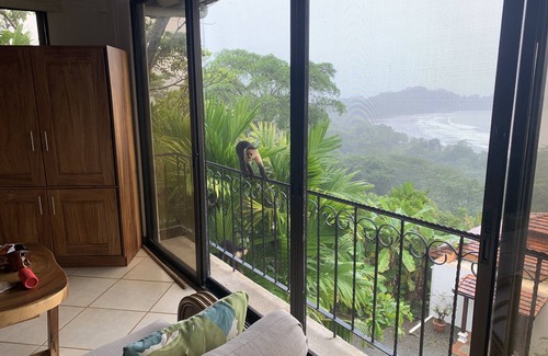 Dominicalito Villa | Villa MarLeta - Ocean View Infinity Pool and More