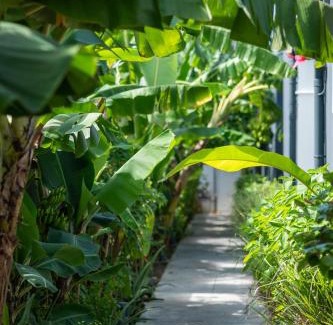 Dubedou Villa | VILLA Nouah by Abaneo, Saint-François