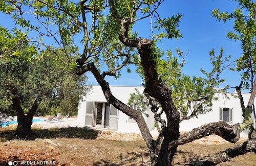 Fumarola Villa | Villa on an elevated terraced olive grove with views over the Valley of Itria.