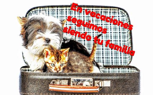 Poio Apartment | Villa Oubiña