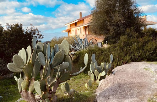 Olmedo Apartment | Villa Pala - Monolocale: Open Space Mirto