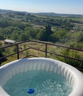 Petrovaradin Apartment | Villa Popovic - apartments Fruska gora