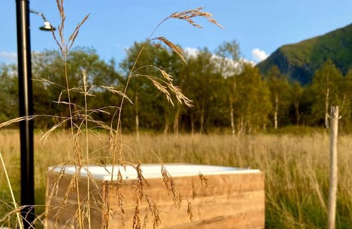 Meloy Villa | Villa Reipå - northern lights and midnight sun