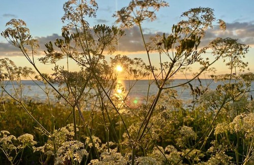 Meloy Villa | Villa Reipå - northern lights and midnight sun