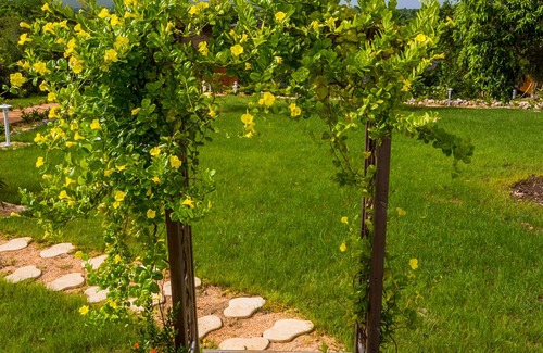 Anse-Bertrand Villa | Villa Roucou, with pool and garden