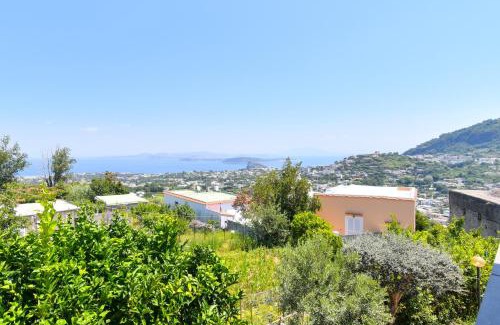 Fiaiano House | Villa Stefania