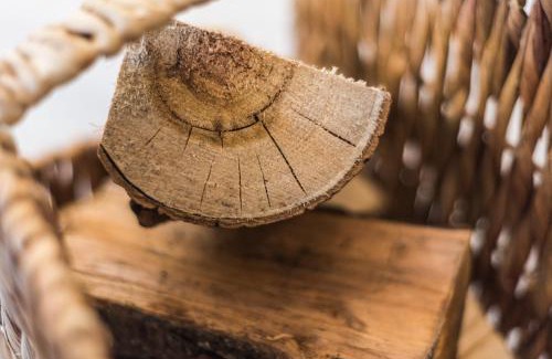 Zingst Apartment | Villa Strandblick 9