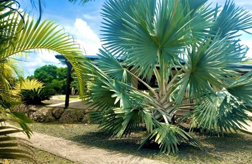 Anse-Bertrand Villa | Villa Tea Free - Calm, nature and beaches 8 minutes from Anse-Bertrand