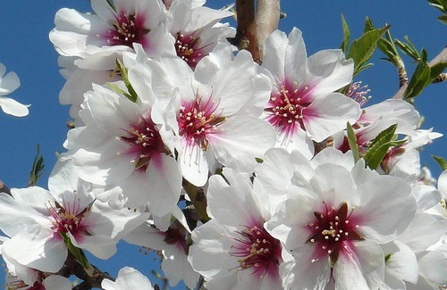 Santa Cruz del Comercio Villa | Villa with Pool and Spectacular Never Ending Panoramic Unspoilt Views