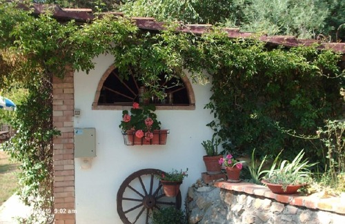 Fauglia House | Villa with 2 spacious apartments for 2 x 7 people and swimming pool near Pisa and the sea