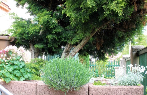 Decin Apartment | Villa with a garden, pets are welcome