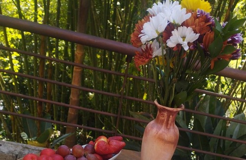 La Aguacatala House | Villa With Clean+Breakfast+Massage In Poblado