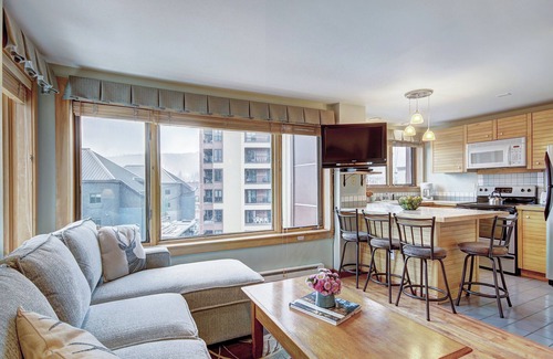 Peak 9 Condo | Village at Breckenridge Peak 9 Inn, Liftside 402: Ski In/Ski Out Condo in Breckenridge!