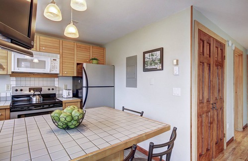 Peak 9 Condo | Village at Breckenridge Peak 9 Inn, Liftside 402: Ski In/Ski Out Condo in Breckenridge!