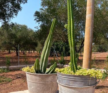 Maruggio Villa | Villaria Luxury apulian villa with pool
