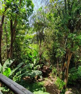 Guaxuma Villa | Villas do Pratagy Maceió