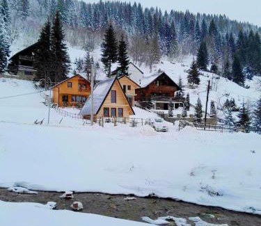 Vitomiricë Villa | Villat Kroni Boge Rugove