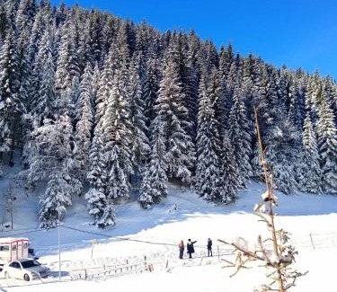 Vitomiricë Villa | Villat Kroni Boge Rugove