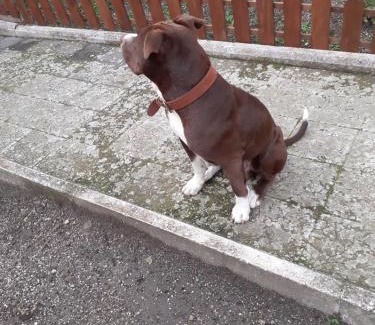 Mount Vesuvius - Pompei Bed & Breakfast | Villateresa