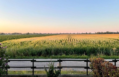 Aquileia Apartment | Vineyard View Apartment in Aquileia