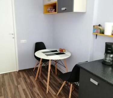 Turda Apartment | Violet House