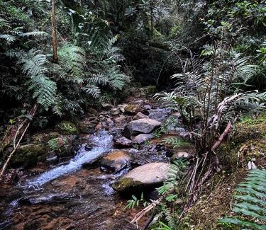 Guarne Other | Vital Ecohotel Cabañas