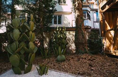 Guebwiller House | ¡ Viva Frida ! Sheltered private jacuzzi