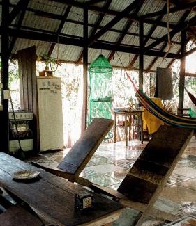 Alter do Chao Other | Viverde selva Redario natural