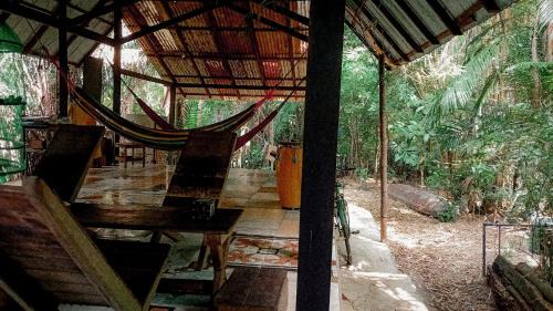 Alter do Chao Other | Viverde selva Redario natural